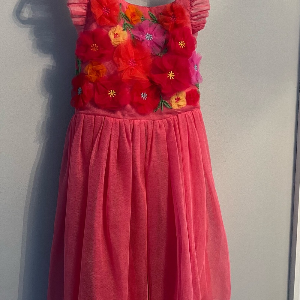 Floral Embellished Pink Dress